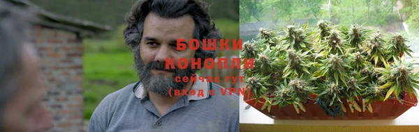 мяу мяу мука Инсар