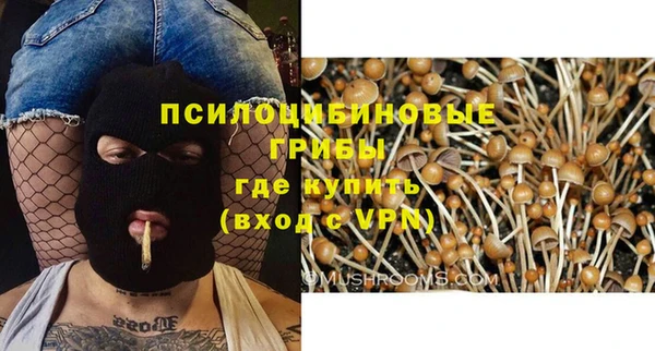 мяу мяу мука Инсар