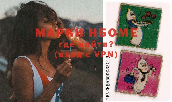 мяу мяу мука Инсар