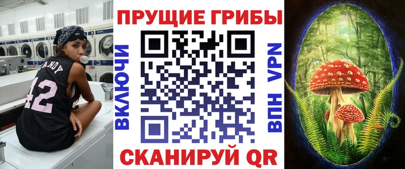 Купить  Гуково  Галлюциногенные грибы GOLDEN TEACHER 